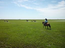 When gail mckinley and her partner decided to try horse riding in argentina they stumbled upon estancia ranquilco and, after the horse riding. Ride Of The Week Argentina Horse Riding Holiday In Argentina S Corrientes Province Rideworldwide1