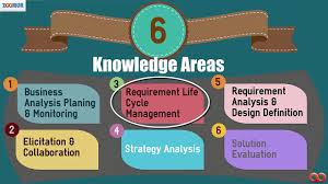 Introduction To Business Analysis Knowledge Areas Youtube