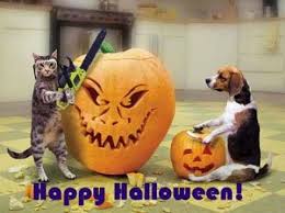 Check spelling or type a new query. Sexy Happy Halloween Quotes Wishes Sayings For Adults Funny Halloween 2014 Images Pictures Free Download