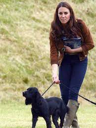 Billie (germanic origin) meaning resolute protector, belongs to. Kate Middleton Celebrity Dogs Pet People Girl Dog Names