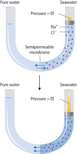 Simple diffusion is carried out by the actions of hydrogen bonds forming between water molecules and solutes. Solutions