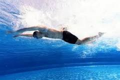 Image result for is dolphin kick the same as butterfly