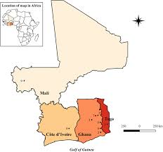 Check spelling or type a new query. Significant Heterogeneity In Wolbachia Copy Number Within And Between Populations Of Onchocerca Volvulus Parasites Vectors Full Text