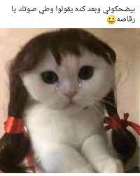 pin by moushera kattaria on بالعربي funny arabic quotes fun quotes funny arabic funny