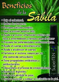 Beneficios De La Sabila Superten Sabila Beneficios Consejos Para La Salud Propiedades De La Sabila