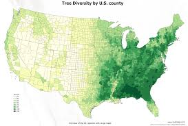 Endémica de la región should be. The Diversity Of Trees In The Us Mapped Vivid Maps