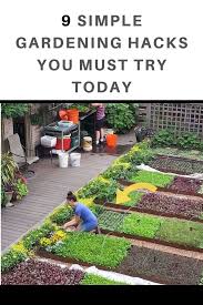 9 Simple Gardening Hacks You Probably Didn T Know About Garden Bed Layout Small Backyard Gardens Garden Ideas Large