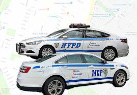 Image result for sharia patrol ny