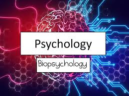 It's the most complex and fascinating object in the known universe. Biopsychology Full Every Lesson Plus A Written Scheme Of Work To Accompany Teaching Resources