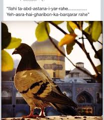 Poetry Imam Reza Imam Hussain Wallpapers Islamic Pictures