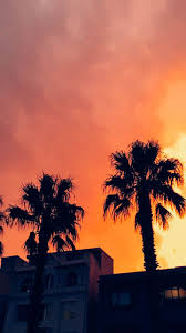 50 Shades Of Orange What To Do In Bondi Beach Bondi Beach Sydney Beaches Beach