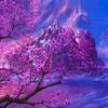 Find sakura flowers wallpapers hd for desktop computer. 1