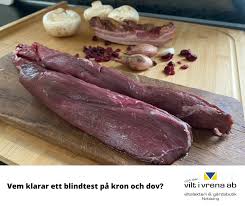 Följ med till rimforsa i östergötland där några jägare jagar dovvilt och vildsvin. Vilken Hjort Ar Godast Vrena Viltslakteri