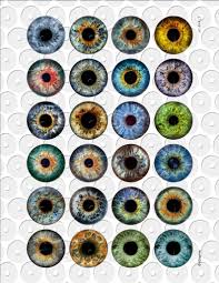 Doll Eyes Digital Collage Sheets Printable Realistic Irides Etsy In 2020 Doll Eyes Collage Sheet Digital Collage Sheets