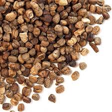 decorticated cardamom seeds bulk cardamom seeds decorticated