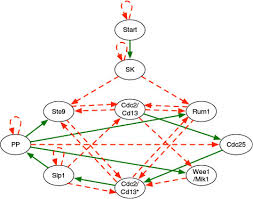 Image result for network yeast