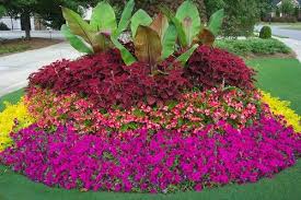 Pin By Daniela Figueroa Corona On My Southern Garden Landscaping Entrance Commercial Landscaping Front Yard Landscaping