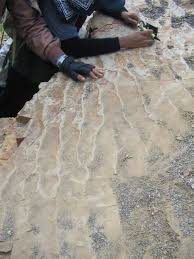 Fellow of institute of quarrying, uk; Institute Of Geology Malaysia Home Facebook