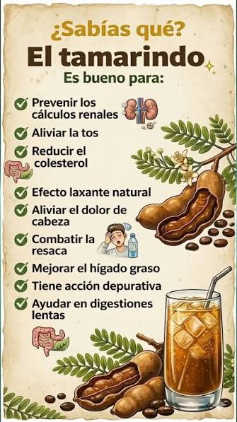 ¿Sabías que el tamarindo es mucho más que un sabor? 🌿 Esta fruta milenaria  tiene propiedades medicinales que sorprenden a más de uno. ¡Y probablemente  ya la tienes cerca!, Esto es lo que el tamarindo ...