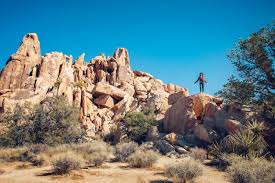 Hidden valley joshua tree national park. Hidden Valley Joshua Tree National Park Flying Dawn Marie
