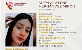 Se busca a veracruzanos reportados desaparecidos