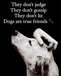 Ain't that the truth.