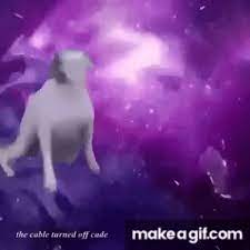 Dancing Brazil Dog Meme On Make A Gif