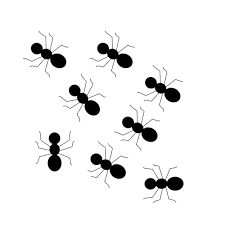 Ants Clipart Ants Ant Art Clip Art