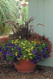 Container Recipes Search Proven Winners Container Garden Design Plants Garden Containers
