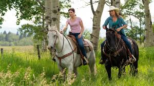 Watch Heartland | Netflix