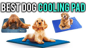 Some products specify that they are not suitable for dogs that chew so look out for that in the dog cooling pad reviews! Best Dog Cooling Pad Cooling Dog Beds Reviews Youtube