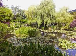 Recensisci per primo aqua lumo fiori acquatici cm 9,5×6,5×12,5 annulla risposta. Il Giardino Di Monet A Giverny Un Angolo Di Paradiso Nel Nord Della Francia Visitiamolo Insieme