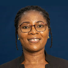 Emerging Public Leaders of Ghana