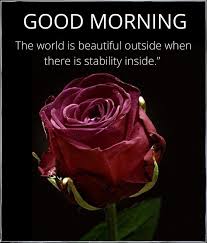 Share these images and make your mornings, as well as those of your friends and loved ones, truly inspired. Good Morning Flowers And Roses Messages Images Gif For Android Apk Download