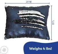 Weighted Sequin Pillow