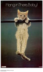 Hang out with my cat small poster. Hang In There Baby Clappison Animal Hospital
