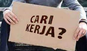 Budaya perusahaan jelas salah jadi salah satu alasan besar para pekerja ini resign atau bertahan dengan memperpanjang kontrak atau memilih menjadi pegawai tetap. 11 Perusahaan Bonafit Ini Sedang Buka Lowongan Kerja Besar Besaran