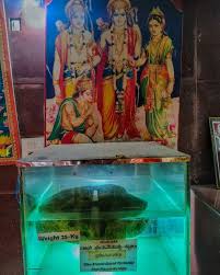 Abhinish kumar (@Abhinishkumar5)