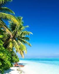 Diani Beach Kenya Most Beautiful Beaches Beaches In The World Beautiful Beaches