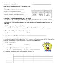 We did not find results for: Bikini Bottom Genetics 2 Name Use Your Knowledge Of