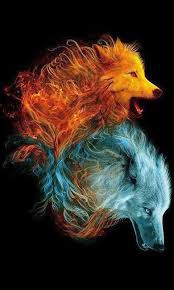 View and share our wolf wallpapers post and browse other hot wallpapers, backgrounds and images. Free Download Wolf480x800800x480freehotmobile Phone Wallpaperswwwwallpaper 480x800 For Your Desktop Mobile Tablet Explore 43 Wolf Phone Wallpaper Wolf Wallpapers Free Download Wolf Images Free Wallpaper Free Wolf Wallpaper For Computer
