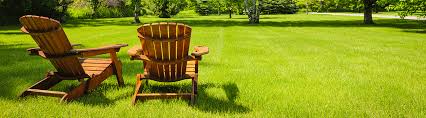 Searching for a lawn guy in jacksonville is a pain. Lawn Inspections And Treatment Residential Pest Control Jacksonville Fl Bug Away Inc