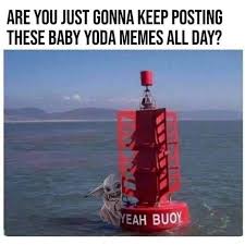 Warning Disney Addicts Only On Instagram Legit Yoda Babyyoda Babyyodamemes Starwars Mandalorian Disney Disneyplus Yoda Meme Yoda Star Wars Memes