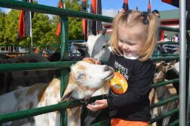PETTING ZOO | The Great Pumpkin Farm