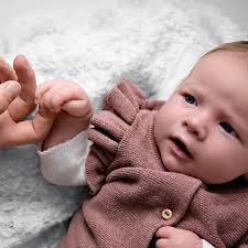 Yellow Blossom Photography...