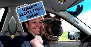 Hal ini akan menyebabkan kondisi di dalam rumah meningkat panas. Tahukahanda Sejukkan Kereta Dijemur Panas Tanpa Perlu Buka Aircon