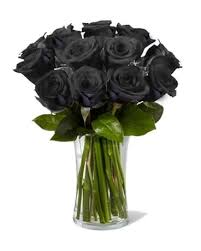May 28, 2019 · a real black rose in actual does not even exist or hasn't been discovered yet. Nightfall Roses Black Roses In Brooklyn Ny Marine Florists