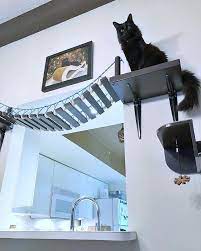Unbelievable Cat Friendly House Design From Japan Hauspanther Cat Tunnel Indoor Cat Hammock Cardboard Cat House