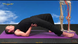 What is sciatica and how can yoga help? Yoga Vt15 Prevent And Treat Sciatica Vikudo