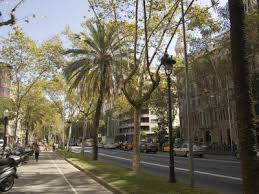 Diagonal teriminin i̇ngilizce türkçe sözlükte anlamı. Avinguda Diagonal Barcelona